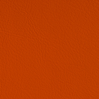 Orange 238-6019